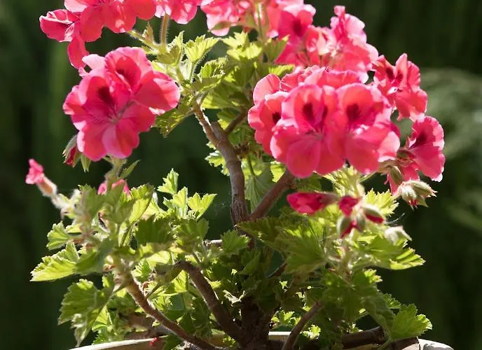 Tinajas Luxury Вилла Нерха