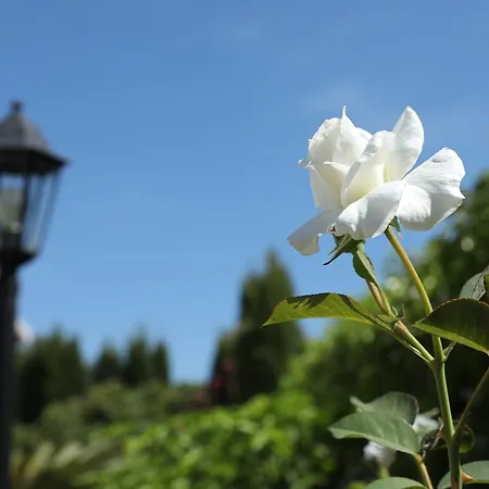 Tinajas Luxury וילה *