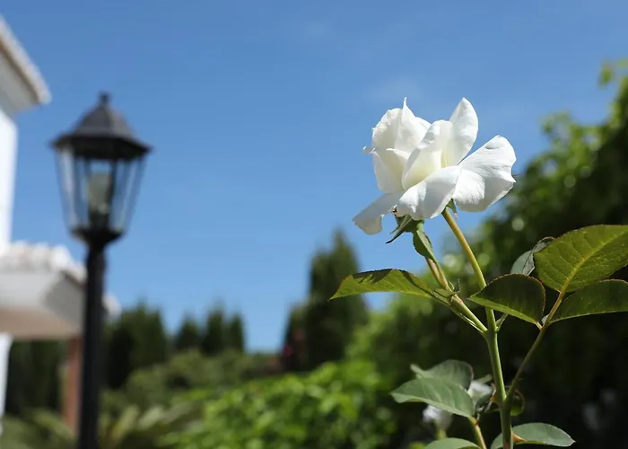 Tinajas Luxury فيلة *